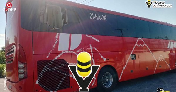 Autobús de pasajeros de ADO es apedreado en la carretera Álamo - Potrero del Llano