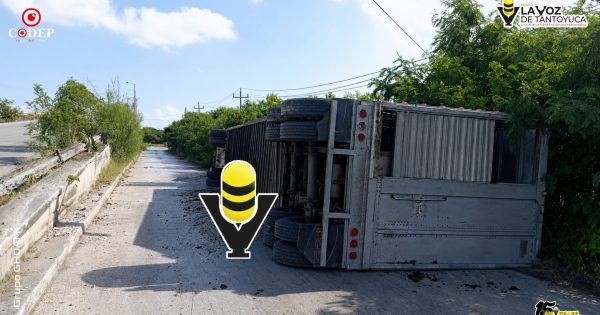 Vuelca tráiler con ganado en la carretera Valles - Tampico