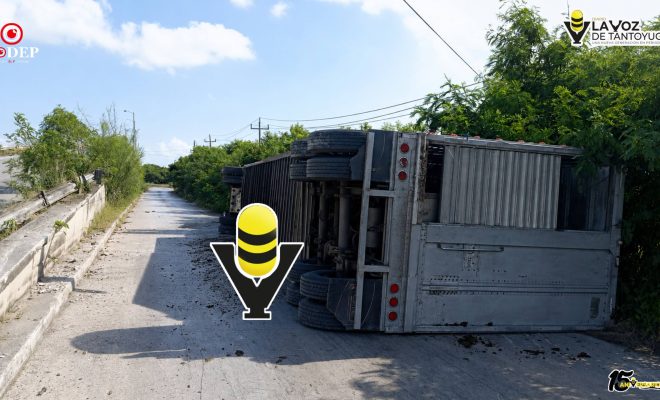 Vuelca tráiler con ganado en la carretera Valles - Tampico
