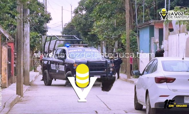 Ejecutan a un trailero en Álamo