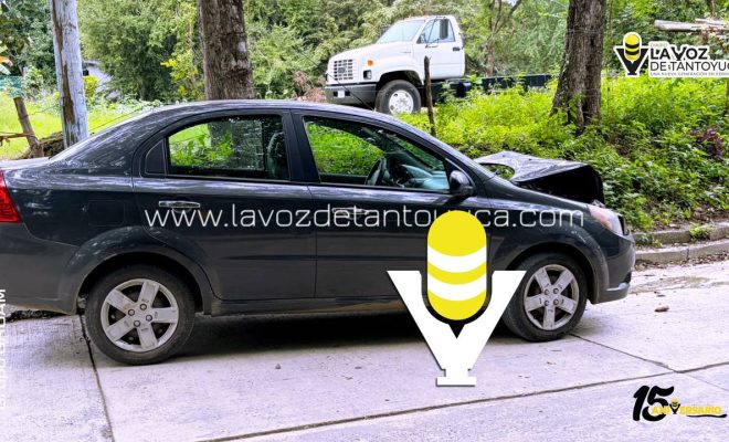 photo_5132091185915694065_y