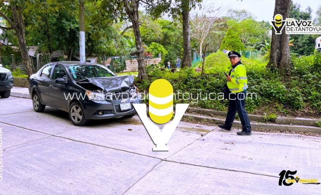 photo_5132091185915694066_y