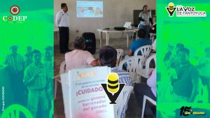 Protección Civil atiende incendio de vivienda en El Pabellón Tampamás, en Tantoyuca