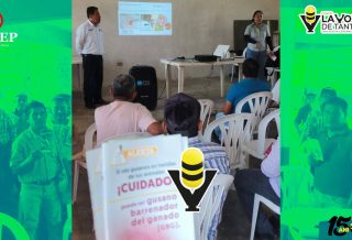 H. Ayuntamiento de Chicontepec fortalece la sanidad pecuaria con capacitación sobre el Gusano Barrenador