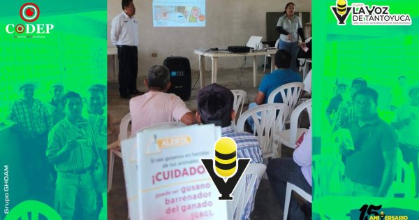 H. Ayuntamiento de Chicontepec fortalece la sanidad pecuaria con capacitación sobre el Gusano Barrenador