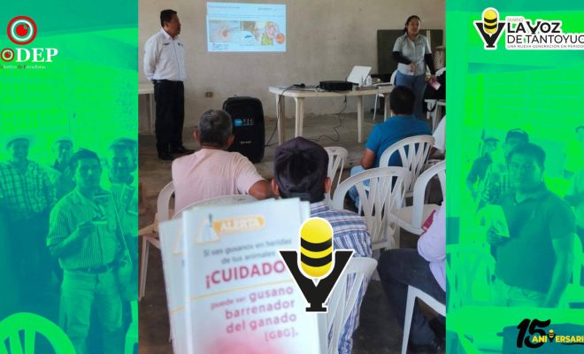 H. Ayuntamiento de Chicontepec fortalece la sanidad pecuaria con capacitación sobre el Gusano Barrenador