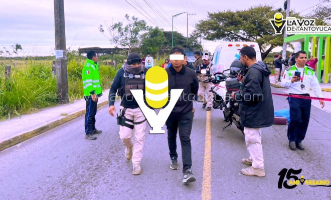 photo_5132156744296500256_y