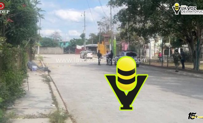 photo_5134428696096738351_y