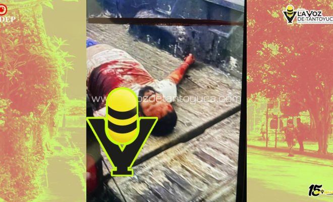 photo_5134428696096738352_y