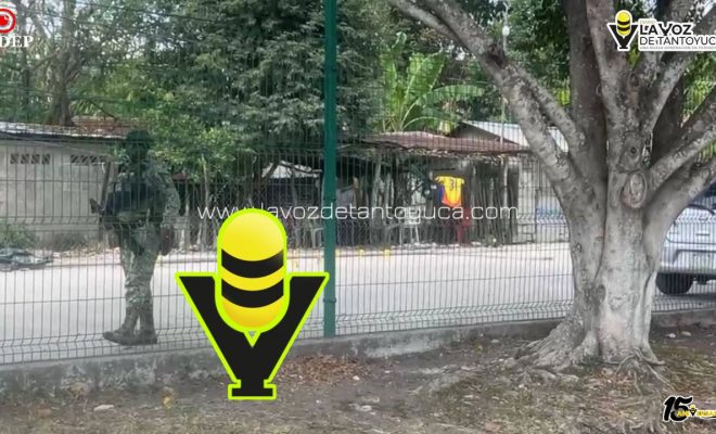 photo_5134428696096738353_y