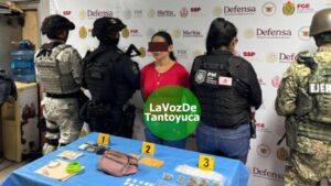 Detienen a mujer en operativo de cateo de fuerzas federales y estatales 