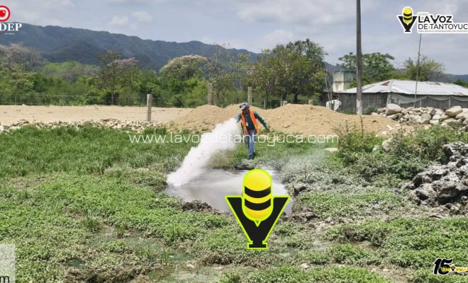 photo_5134452687784054224_y