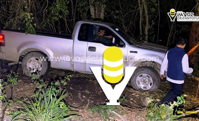 photo_5136653321652341755_y