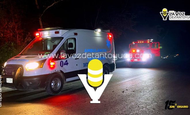 photo_5136653321652341758_y