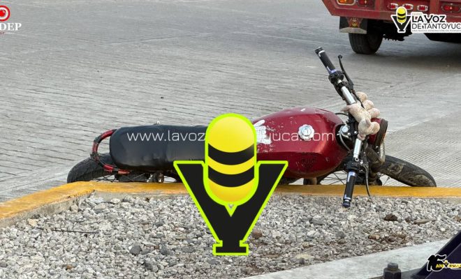 photo_5136704487597739007_y