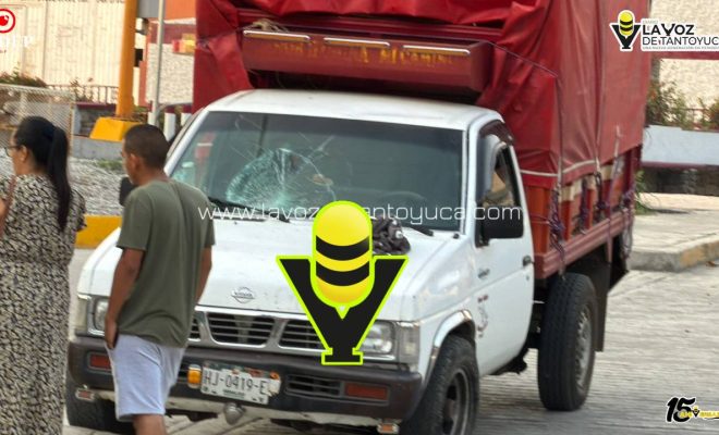 photo_5136704487597739009_y