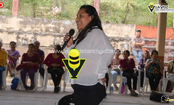 photo_5136704487597739056_y