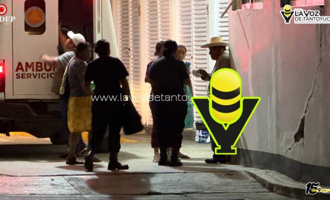 photo_5136704487597739137_y