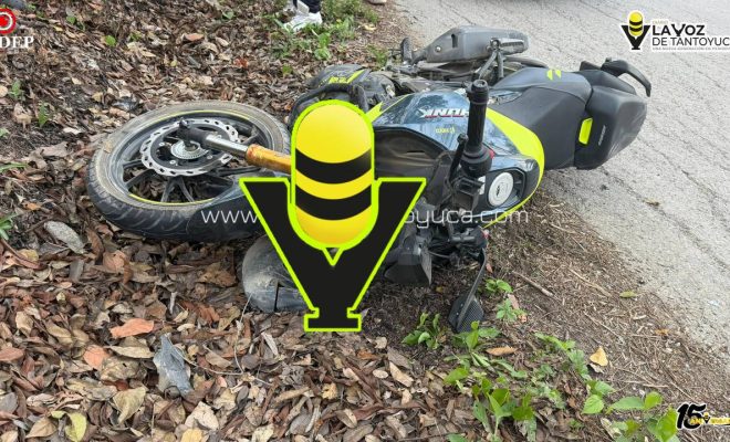 photo_5138956287411424602_y