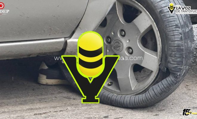 photo_5138956287411424603_y