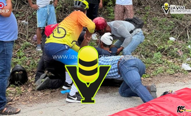 photo_5138956287411424606_y