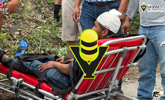 photo_5138956287411424607_y