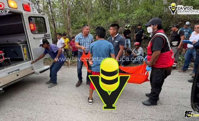 photo_5138956287411424608_y