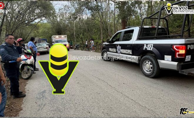 photo_5138956287411424610_y