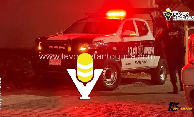 photo_5139158395687471973_y