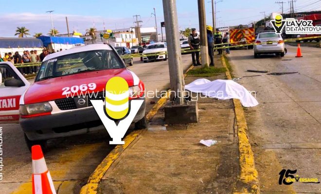 photo_5139158395687472000_y