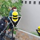 Continúan investigaciones; conductora permanece a disposición de la Fiscalía Regional tras atropellar y matar a un masculino en Ixcatepec
