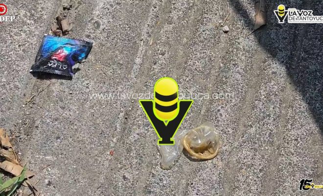 photo_5141163462514904067_y