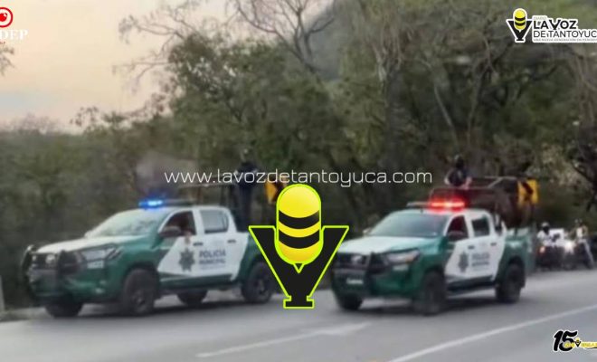 photo_5141163462514904071_y