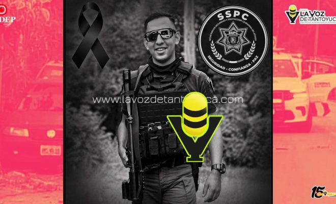 photo_5141163462514904072_y