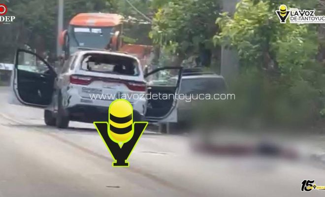 photo_5141163462514904073_y