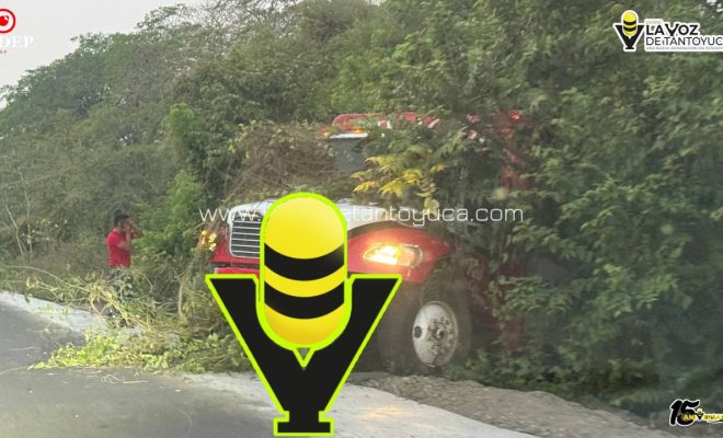 photo_5141163462514904076_y