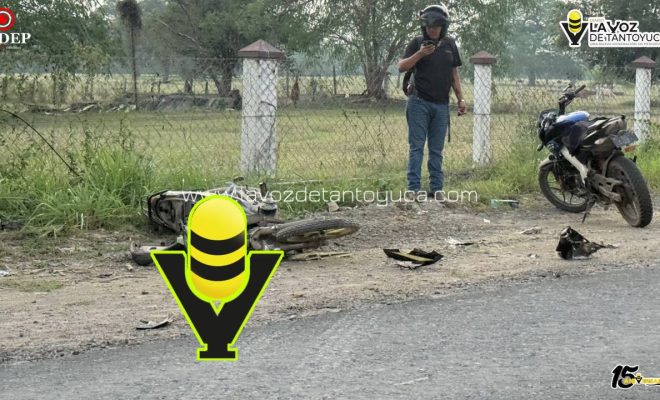 photo_5141163462514904077_y