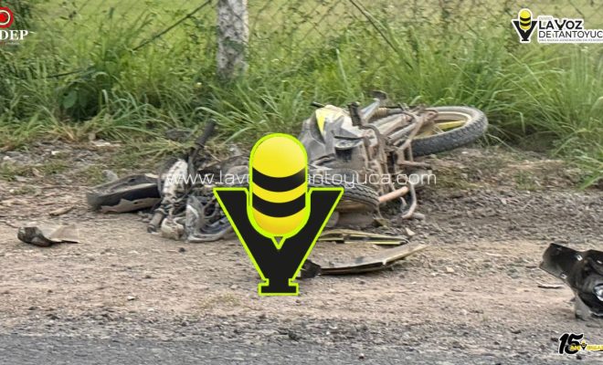 photo_5141163462514904079_y