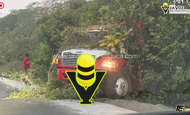 photo_5141163462514904080_y