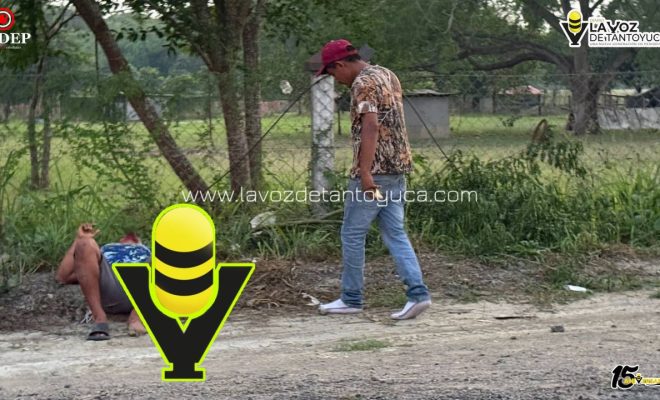 photo_5141163462514904081_y