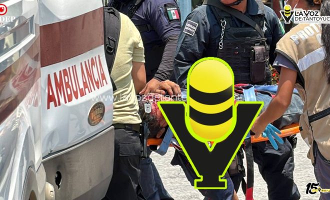 photo_5141163462514904086_y