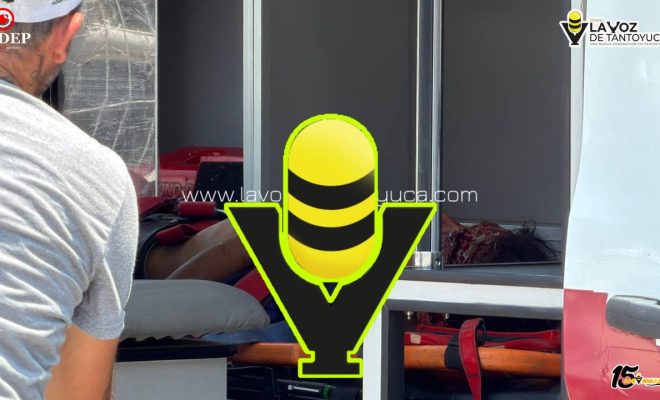 photo_5141163462514904087_y