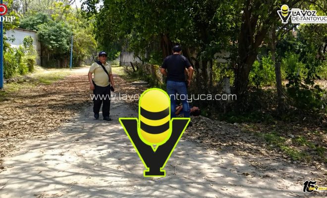 photo_5141163462514904088_y