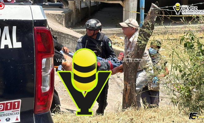 photo_5141163462514904089_y