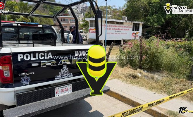 photo_5141163462514904090_y