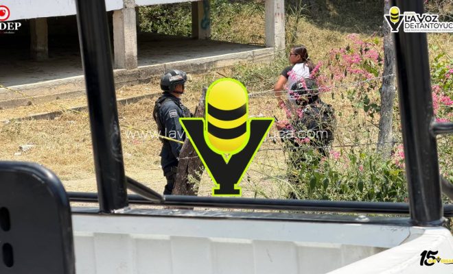 photo_5141163462514904091_y