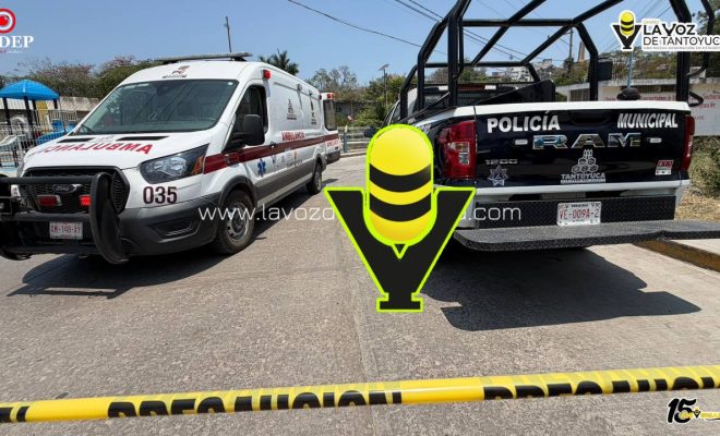 photo_5141163462514904092_y