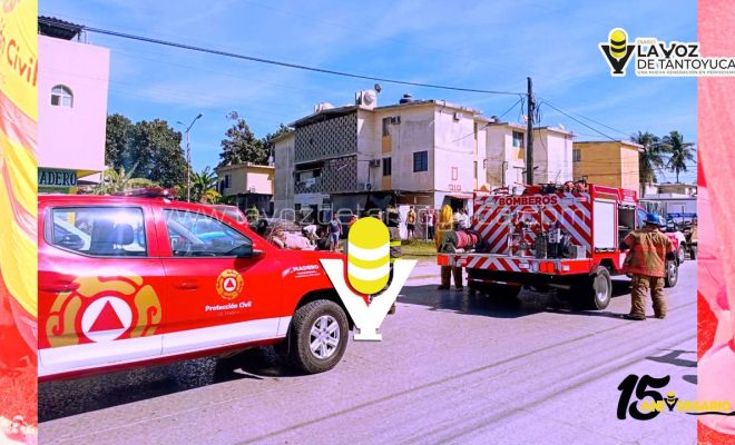 photo_5141368826376162491_y (1)