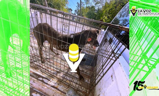 photo_5141368826376162505_y