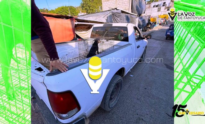 photo_5141368826376162506_y